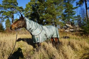 EquoIQ regenhoes 0 gr met nekhoes - Afbeelding 9