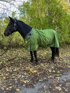 EquoIQ regenhoes 0 gr met nekhoes - Afbeelding 5