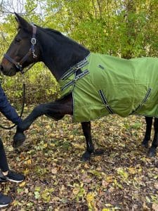 EquoIQ winter blanket 200 gr with neck - Image 7