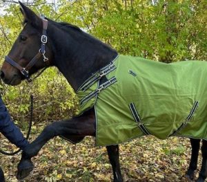 EquoIQ vintertäcke 200 gr med hals - Bild 7