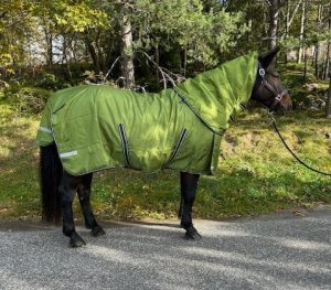 EquoIQ utetäcke 100 gr med halstäcke - Bild 6