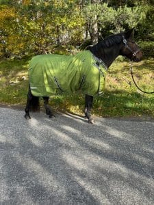 EquoIQ light weight blanket 50 gr - Image 3