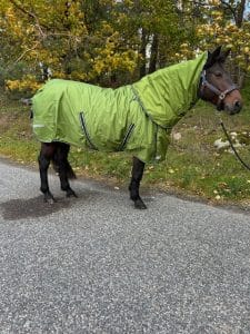 EquoIQ winter blanket 200 gr with neck - Image 5