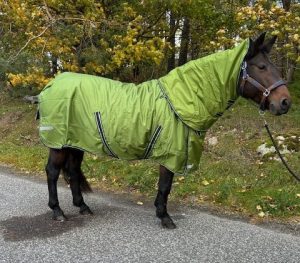 EquoIQ vintertäcke 200 gr med hals - Bild 5