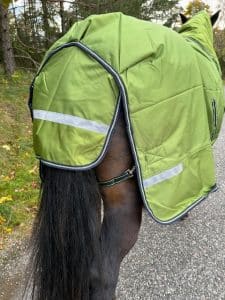 EquoIQ winter blanket 200 gr with neck - Image 6