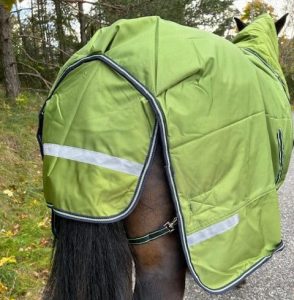 EquoIQ vintertäcke 200 gr med hals - Bild 6