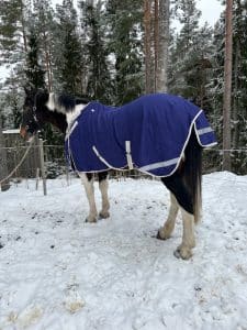 EquoIQ stalddækning 100 gr - Billede 3