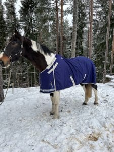 EquoIQ stalddækning 100 gr - Billede 2