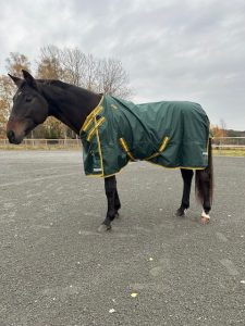EquoIQ regenhoes 0 gr met nekhoes - Afbeelding 6