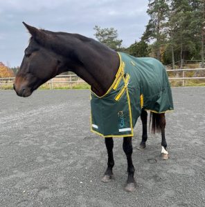 EquoIQ utetäcke 100 gr med halstäcke - Bild 4