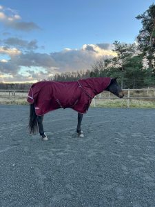 EquoIQ-siirtymäloimet 50 g kaulalla - Image 4