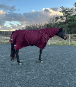 EquoIQ övergångstäcke 50 gr med hals - Bild 4