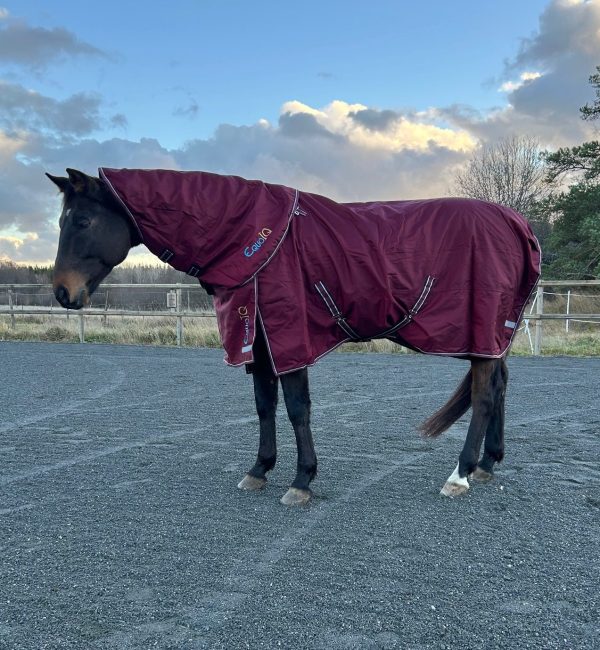 EquoIQ övergångstäcke 50 gr med hals