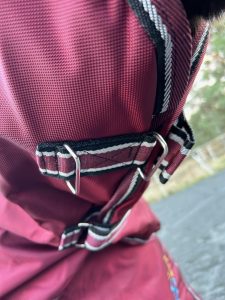 EquoIQ winter blanket 200 gr with neck - Image 8
