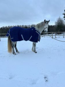 EquoIQ stalddækning 200 gr - Billede 4