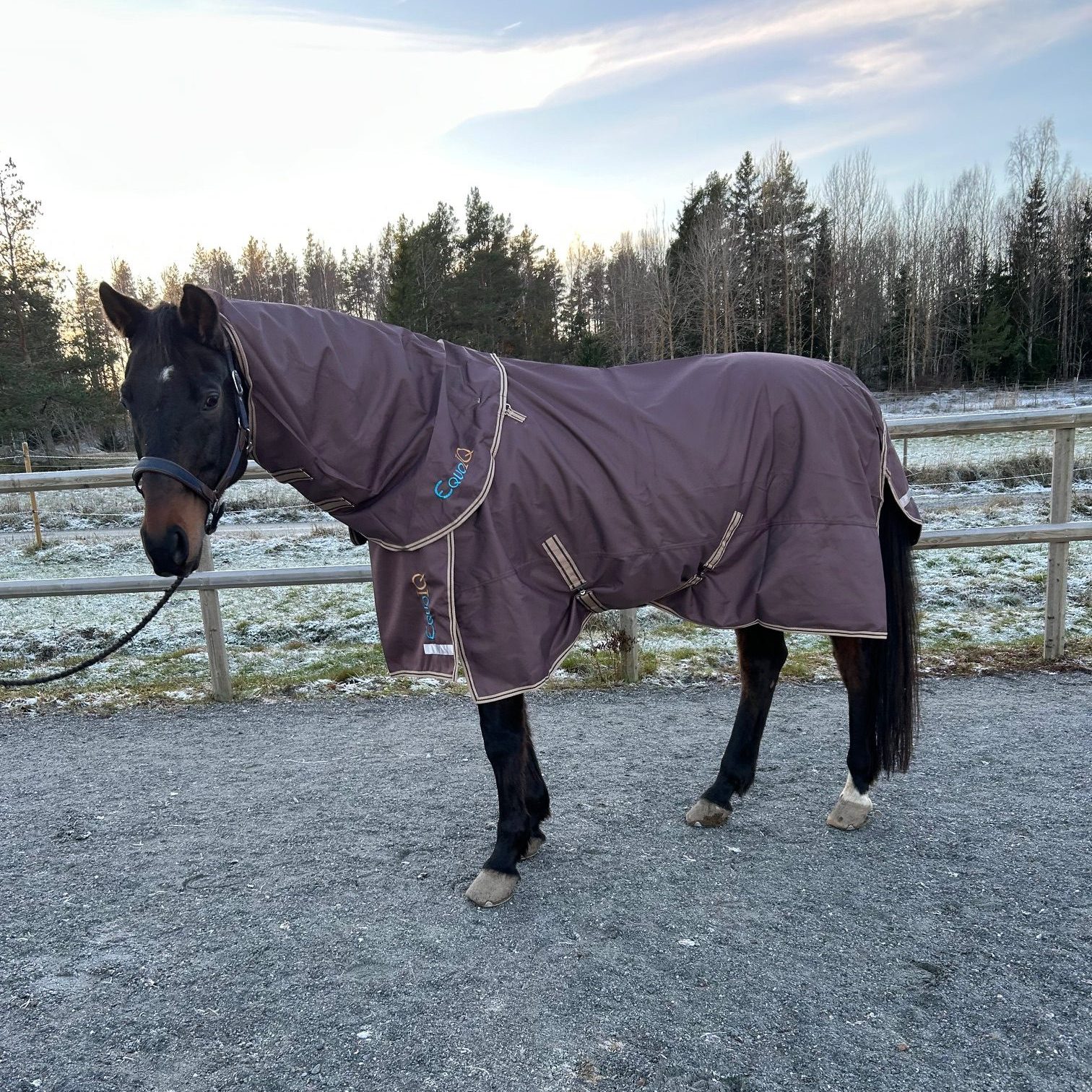 EquoIQ regndække 0 gr med hals