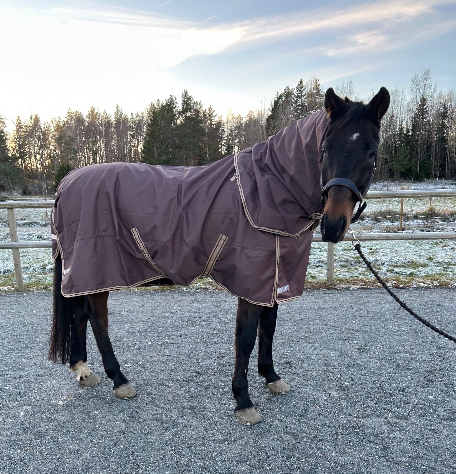 EquoIQ regndække 0 gr med hals - Billede 6