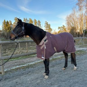 EquoIQ Stalldecke 100 gr