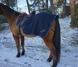 EquoIQ ländtäcke ylle - Bild 2