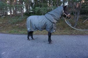 EquoIQ vinterdække 300 gr med hals - Billede 2