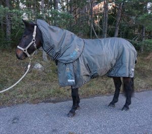 EquoIQ vinterdække 300 gr med hals - Billede 3