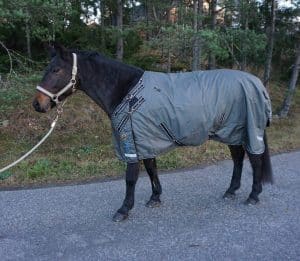 EquoIQ ulkoloimet 100 gr - Image 4