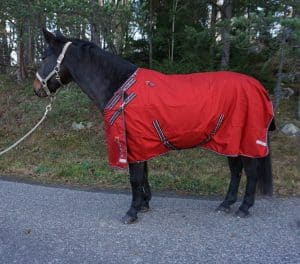 EquoIQ light weight blanket 50 gr - Image 4