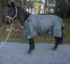 EquoIQ uforet regnslag 0 gr - Billede 2