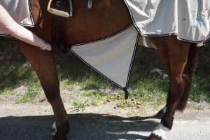 EquoIQ Fliegenschutz-Ausreitdecke mit Hals – Bild 5