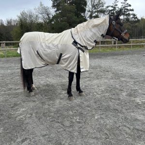 EquoIQ Anti-fly Combo sadesuoja/kärpässuoja Hyönteisloimet Vedenpitävällä selkäosalla