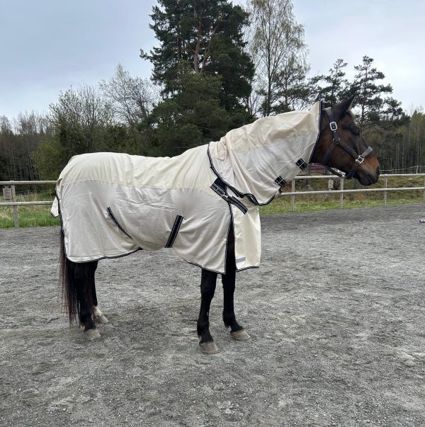 EquoIQ regn/flugtäcke med avtagbar hals