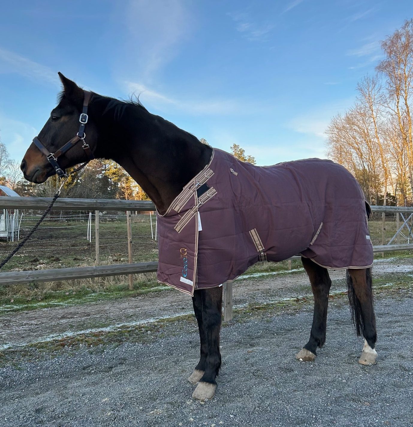 EquoIQ 50 gr Stalldecke – Bild 5