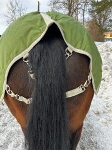 EquoIQ Rückdekke 100 gr – Bild 2