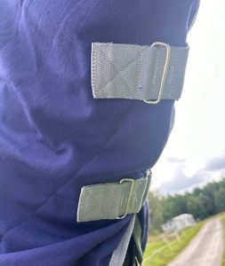 EquoIQ stalltäcke 100 gr med hals - Bild 2
