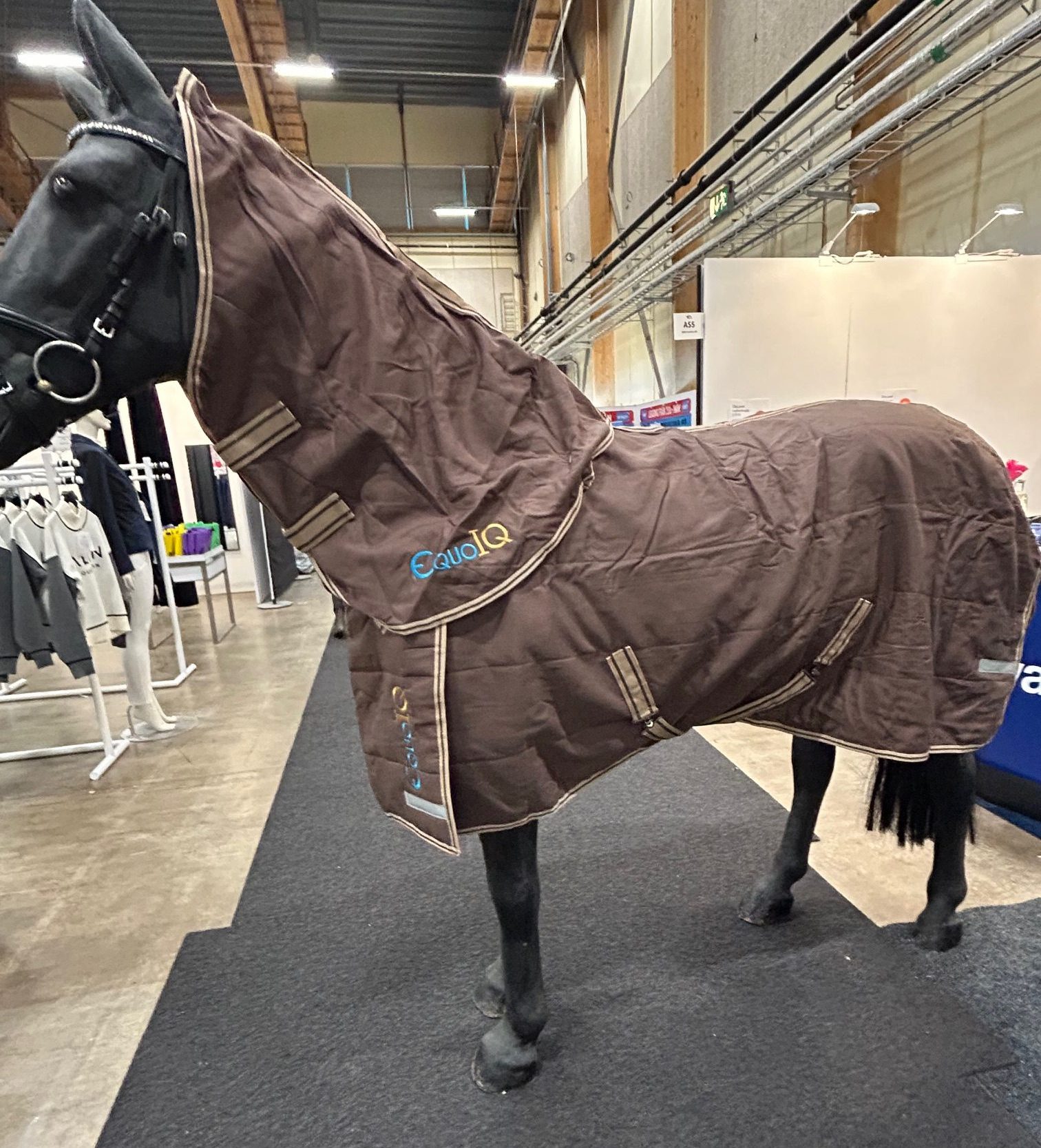 EquoIQ-talliloimet 100 gr kaulassa - Image 3