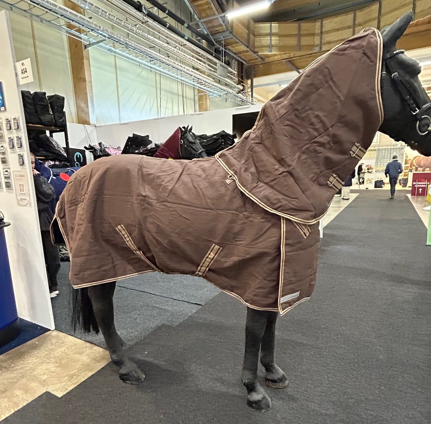 EquoIQ-talliloimet 100 gr kaulassa - Image 4